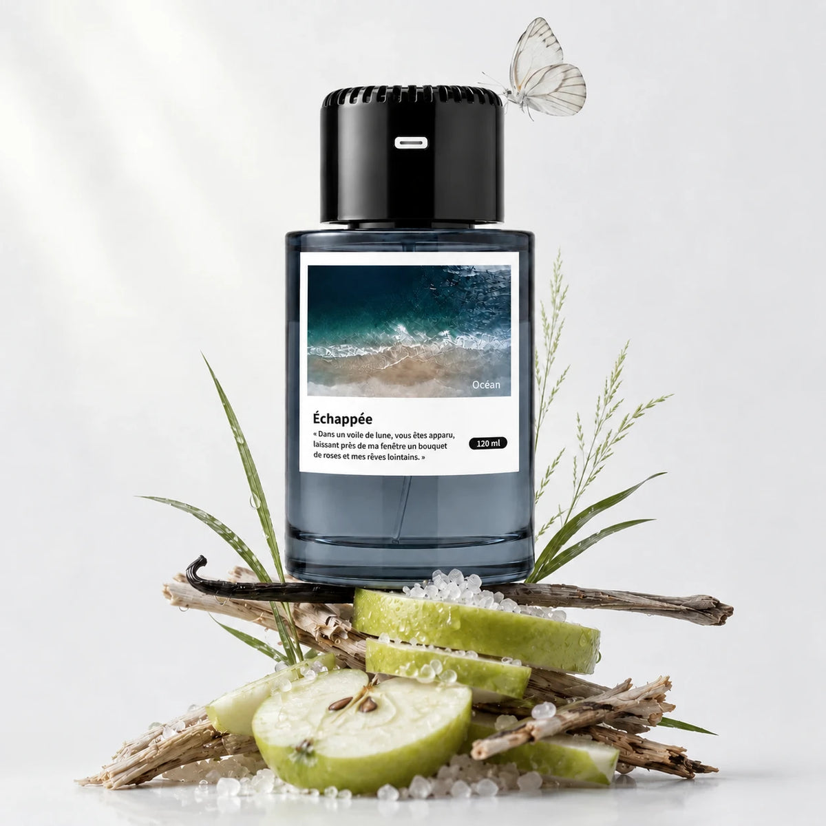 Diffuseur de parfum pour voiture Plume — Meeyna