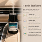 Diffuseur de parfum pour voiture Plume — Meeyna