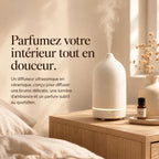 Diffuseur ultrasonique en céramique Stone — Meeyna